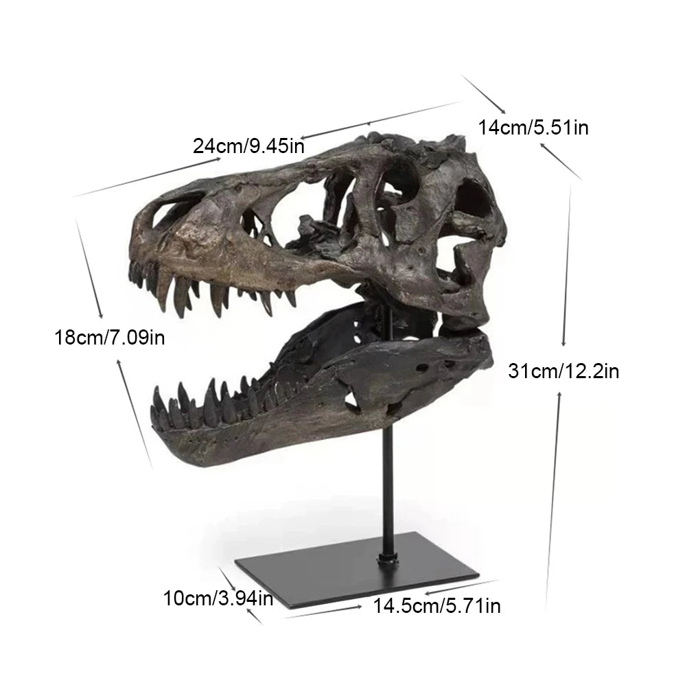 Tyrannosaurus Rex Skull Resin Statue Replica With Display Bracket
