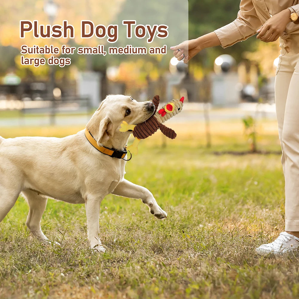 Ultimate 5 Pack Squeaky Plush Dog Toys For All Breeds
