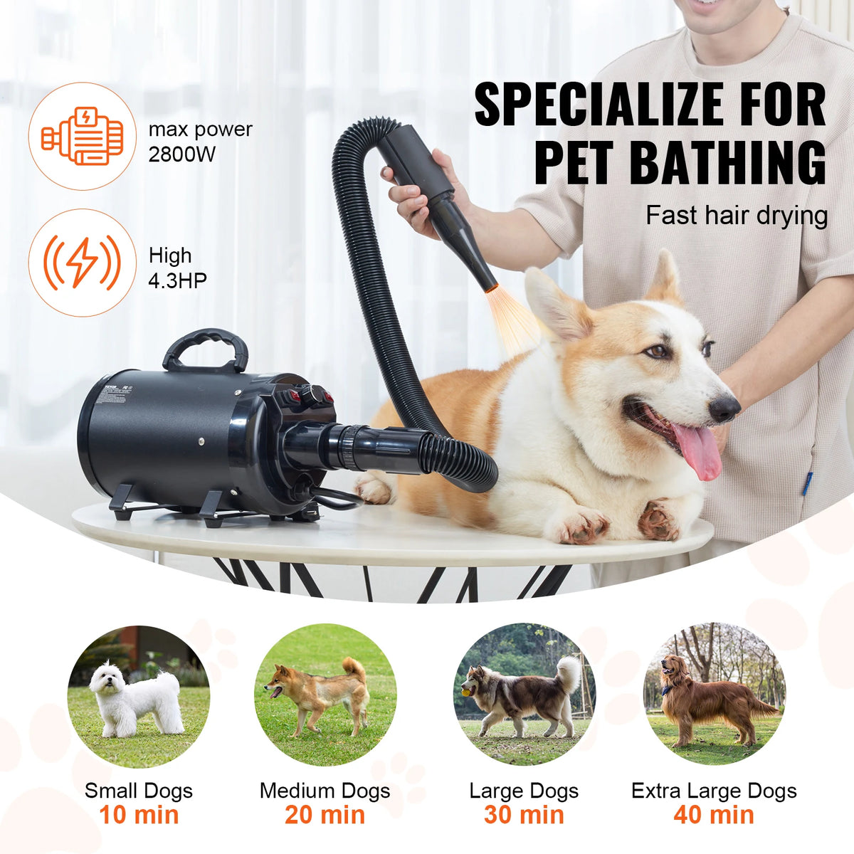 SucceBuy Powerful Dog Blow Dryer With Four Nozzles And Hose