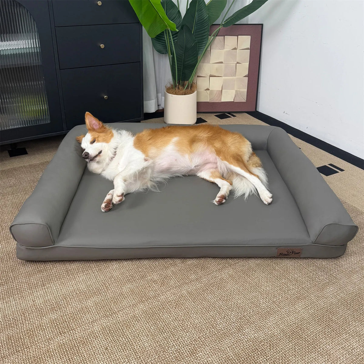 Borwart Orthopedic Dog Bed with Bolster and Removable Cover