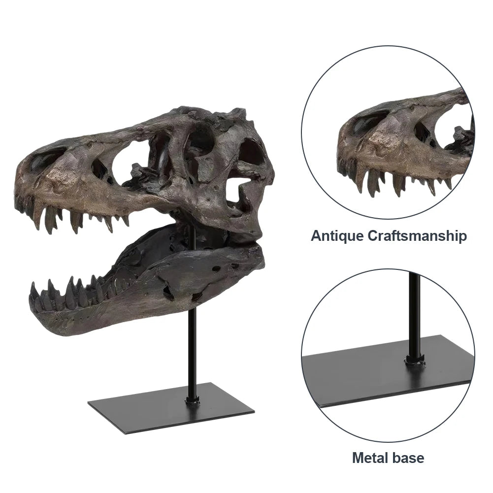 Tyrannosaurus Rex Skull Resin Statue Replica With Display Bracket