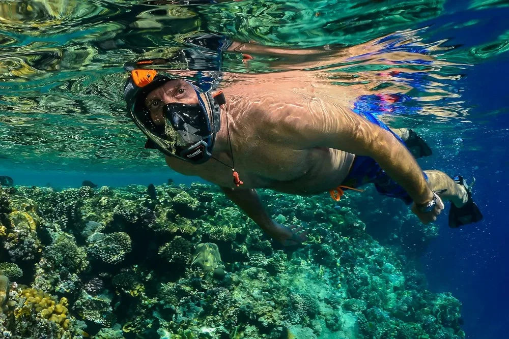 Full Face Snorkeling Mask Quick Release Buckle Panoramic View