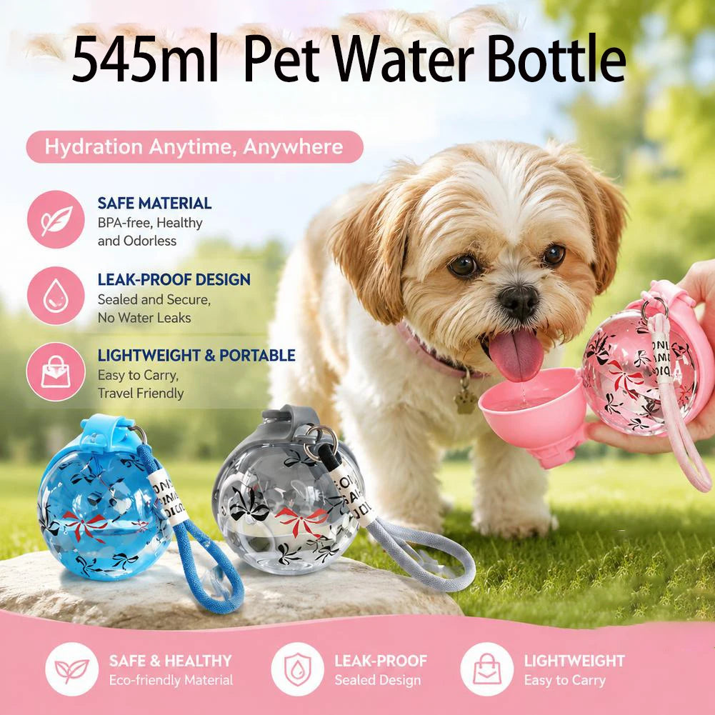 Compact Portable Dog Water Bottle With Foldable Silicone Bowl