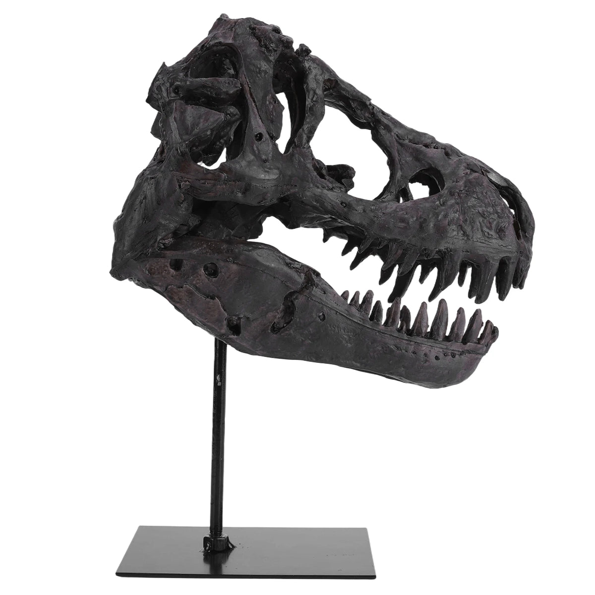 Tyrannosaurus Rex Skull Resin Statue Replica With Display Bracket