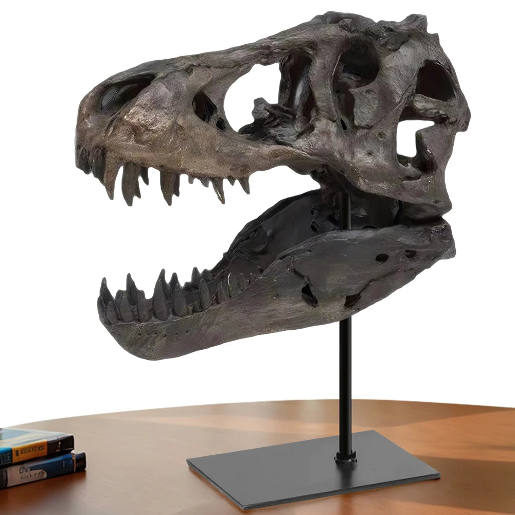 Tyrannosaurus Rex Skull Resin Statue Replica With Display Bracket
