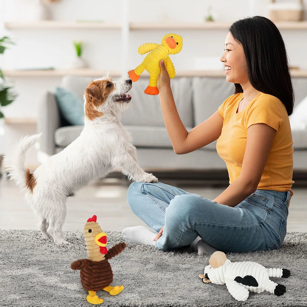 Ultimate 5 Pack Squeaky Plush Dog Toys For All Breeds