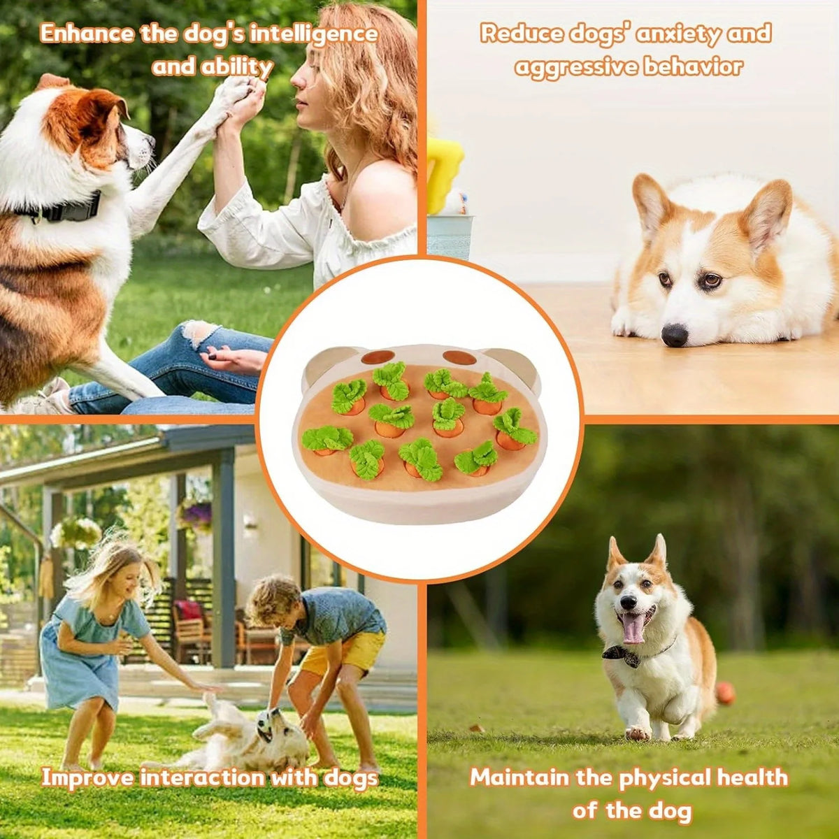 Ultimate Interactive Plush Dog Toy With Squeaky Carrots For Small Dogs