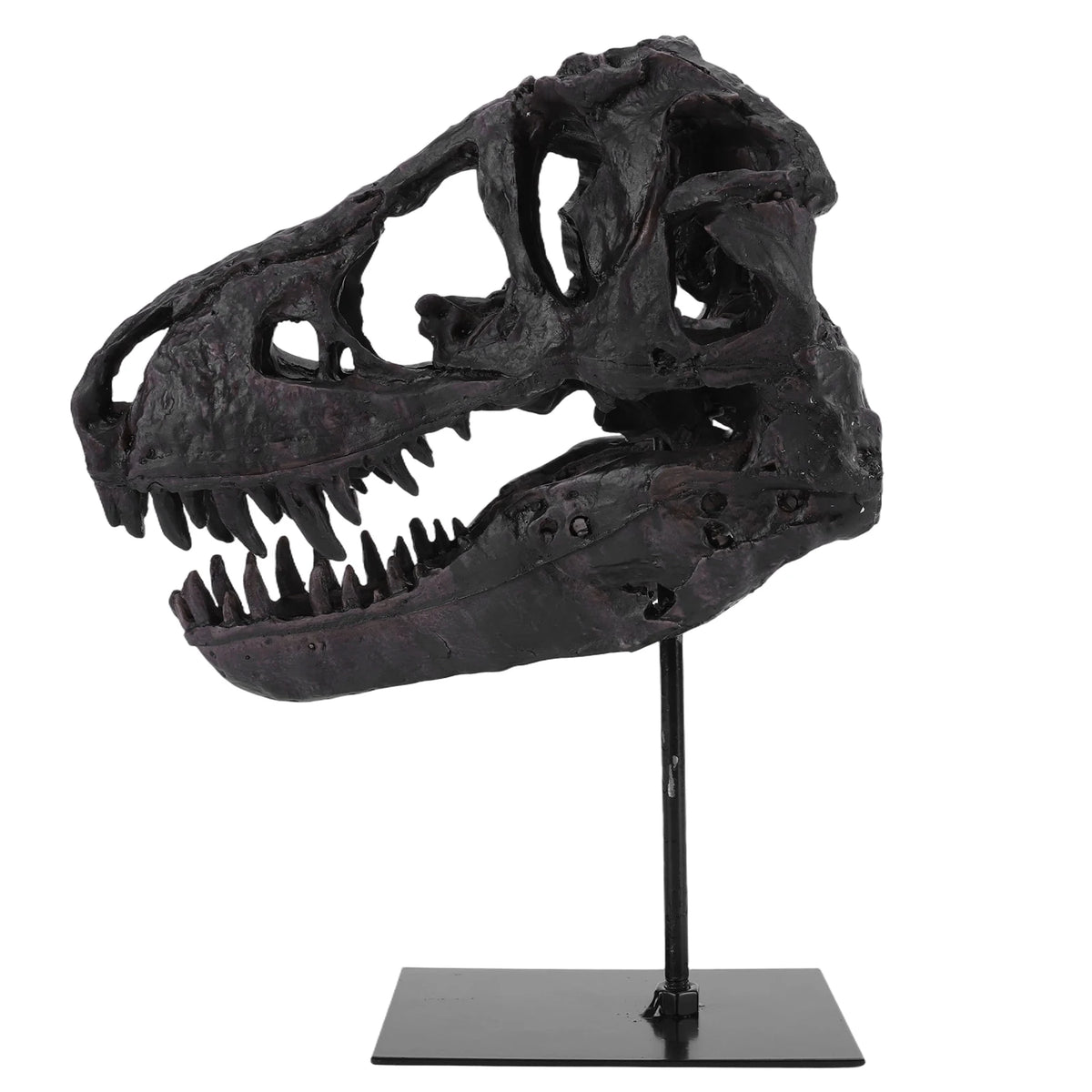 Tyrannosaurus Rex Skull Resin Statue Replica With Display Bracket